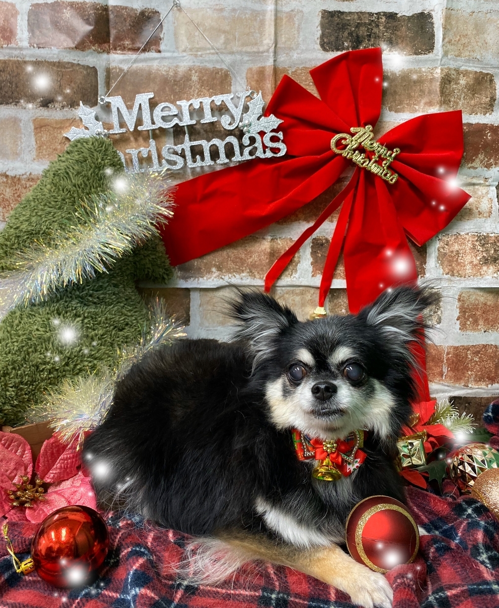 f:id:happy_ac:20191203162841j:plain