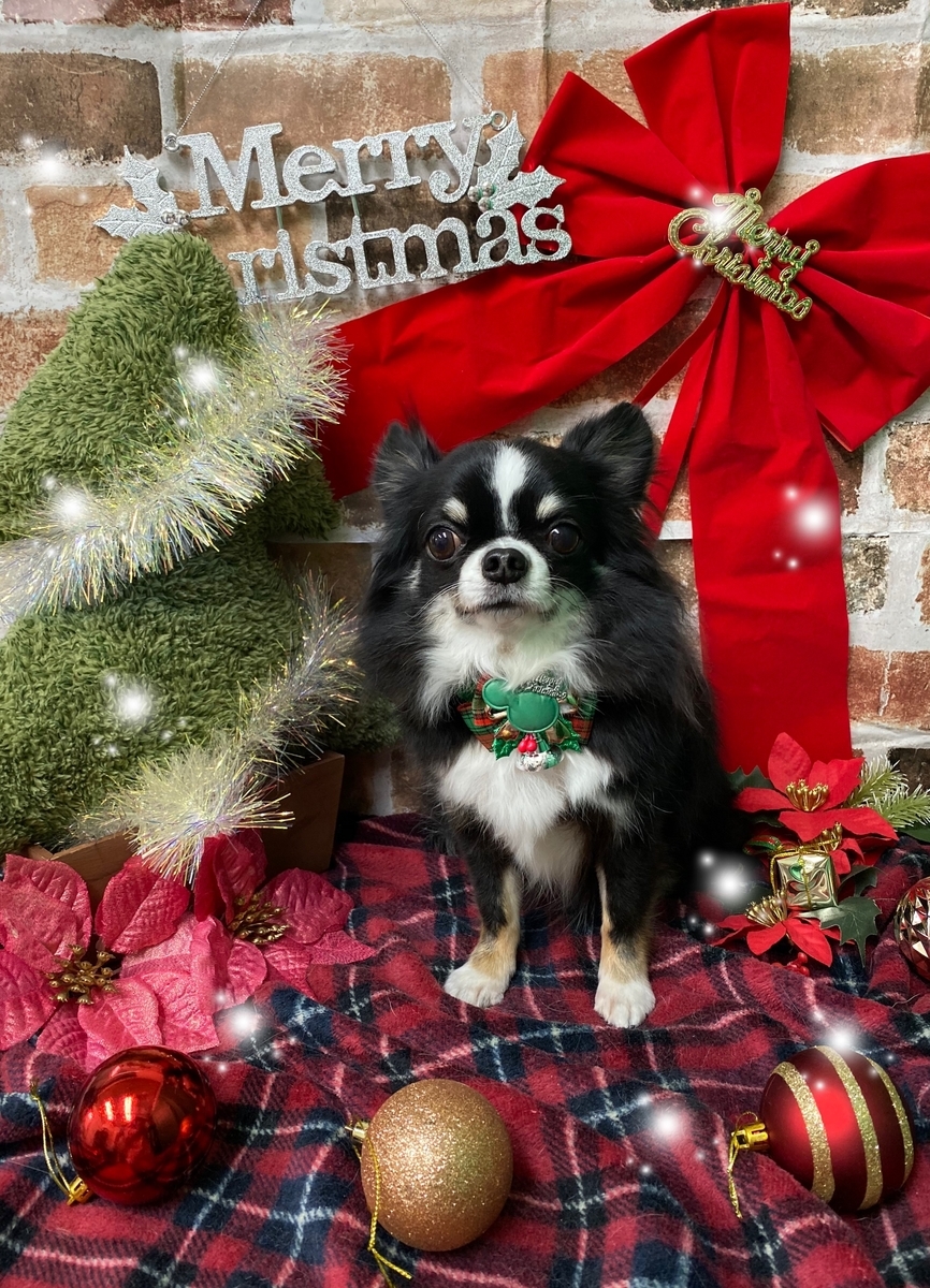 f:id:happy_ac:20191203184509j:plain
