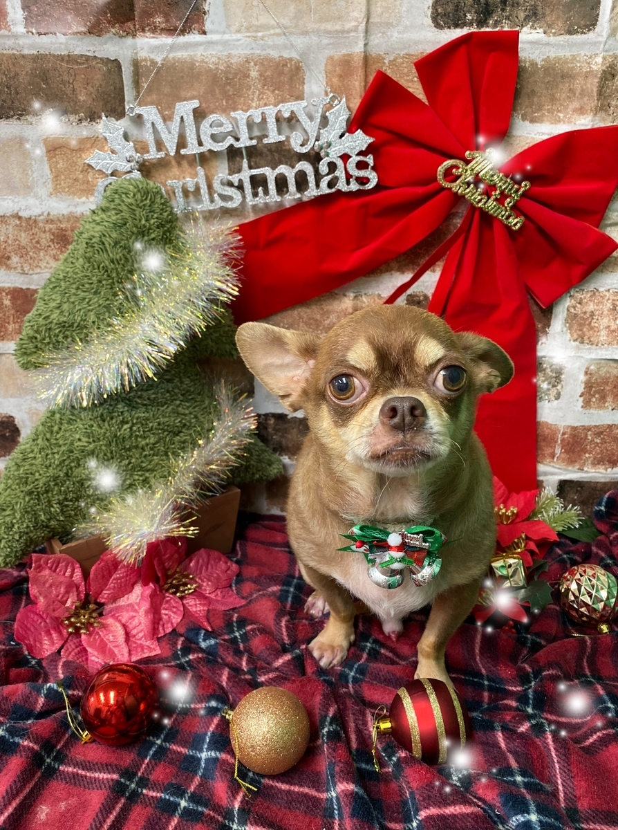 f:id:happy_ac:20191203184556j:plain