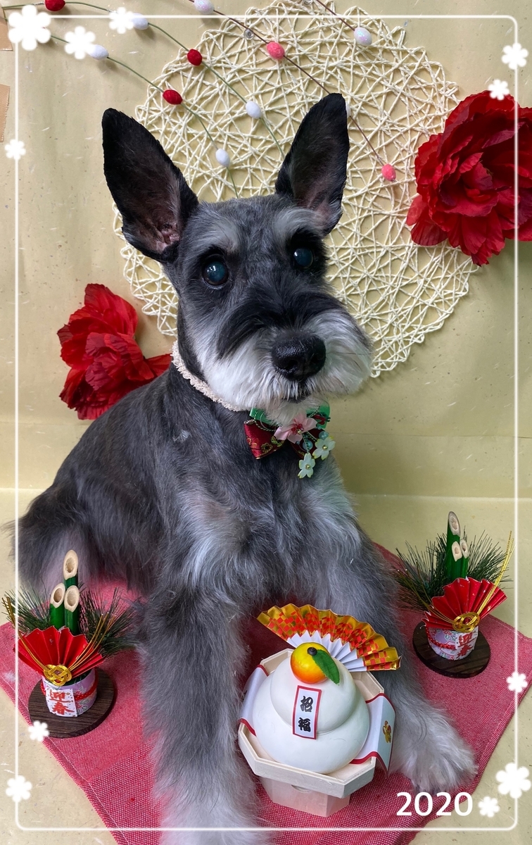 f:id:happy_ac:20191221144523j:plain