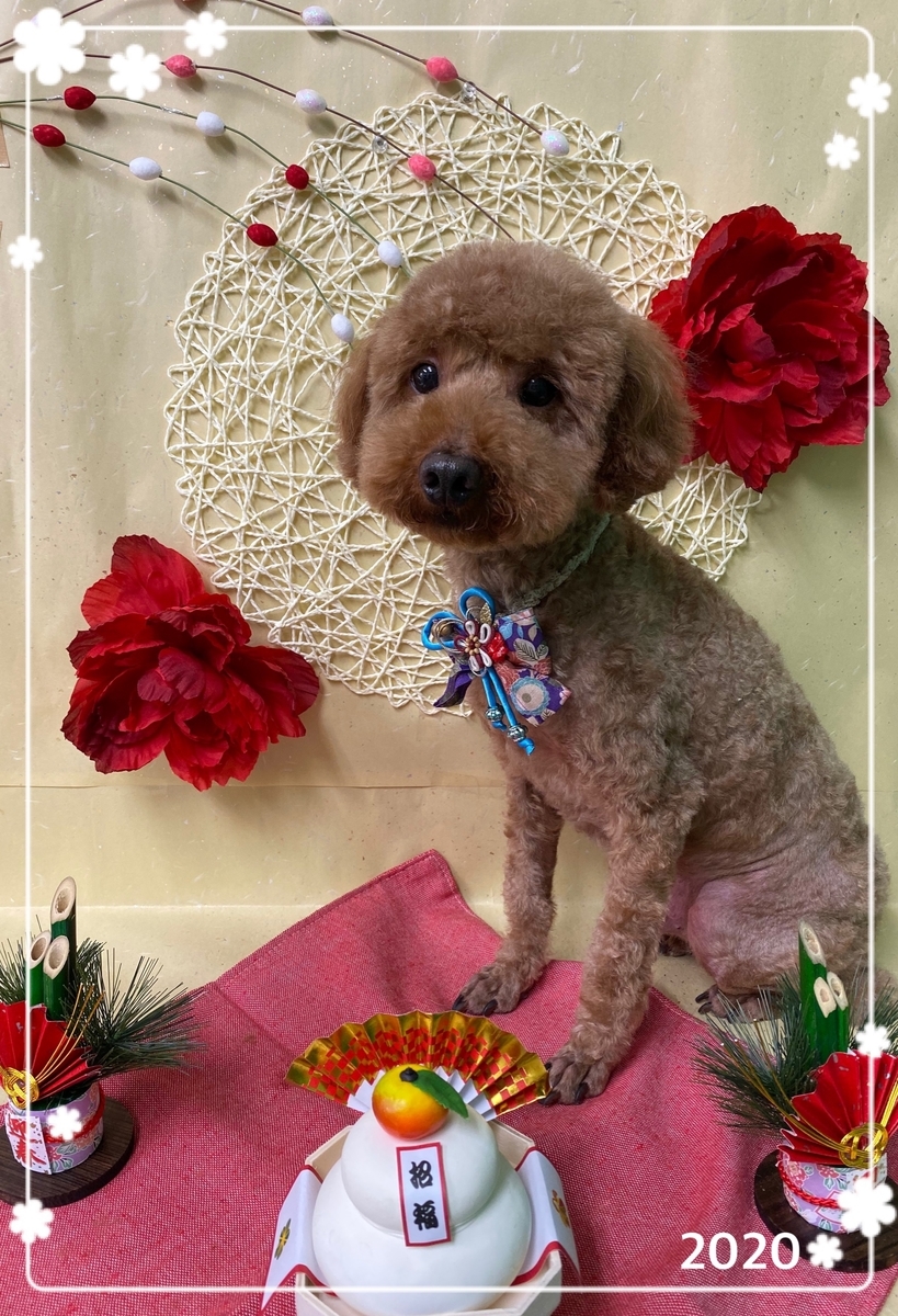 f:id:happy_ac:20191221144600j:plain