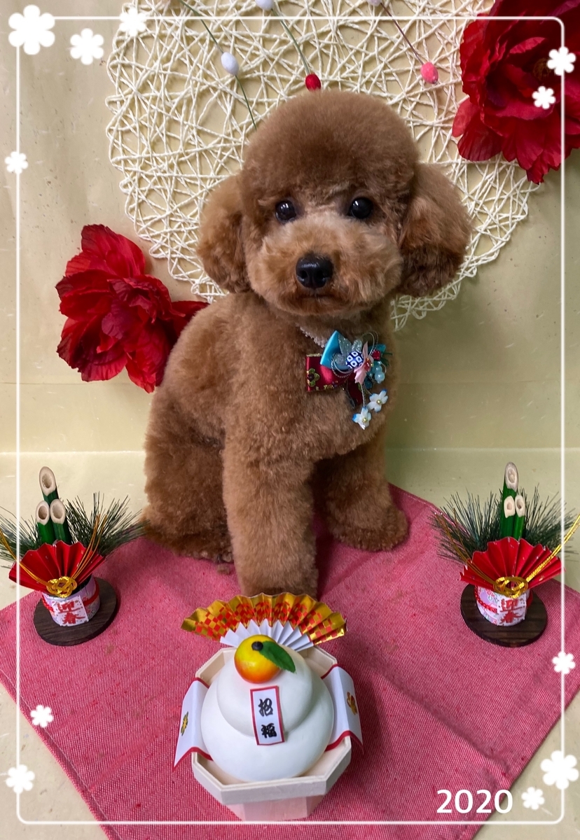 f:id:happy_ac:20191221144648j:plain
