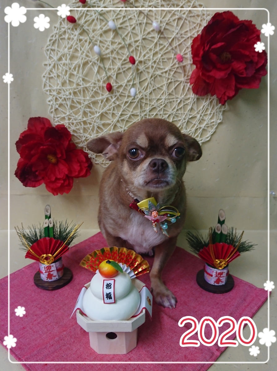 f:id:happy_ac:20191221144742j:plain