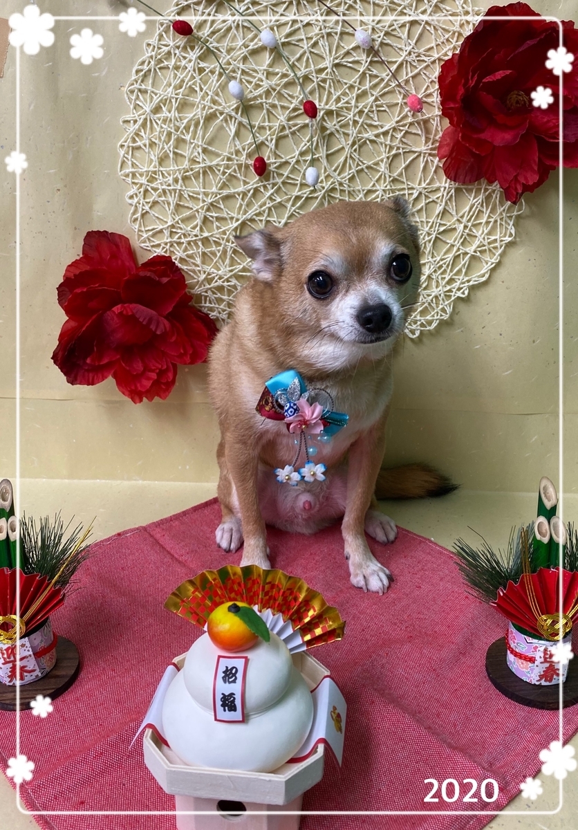 f:id:happy_ac:20191221145333j:plain