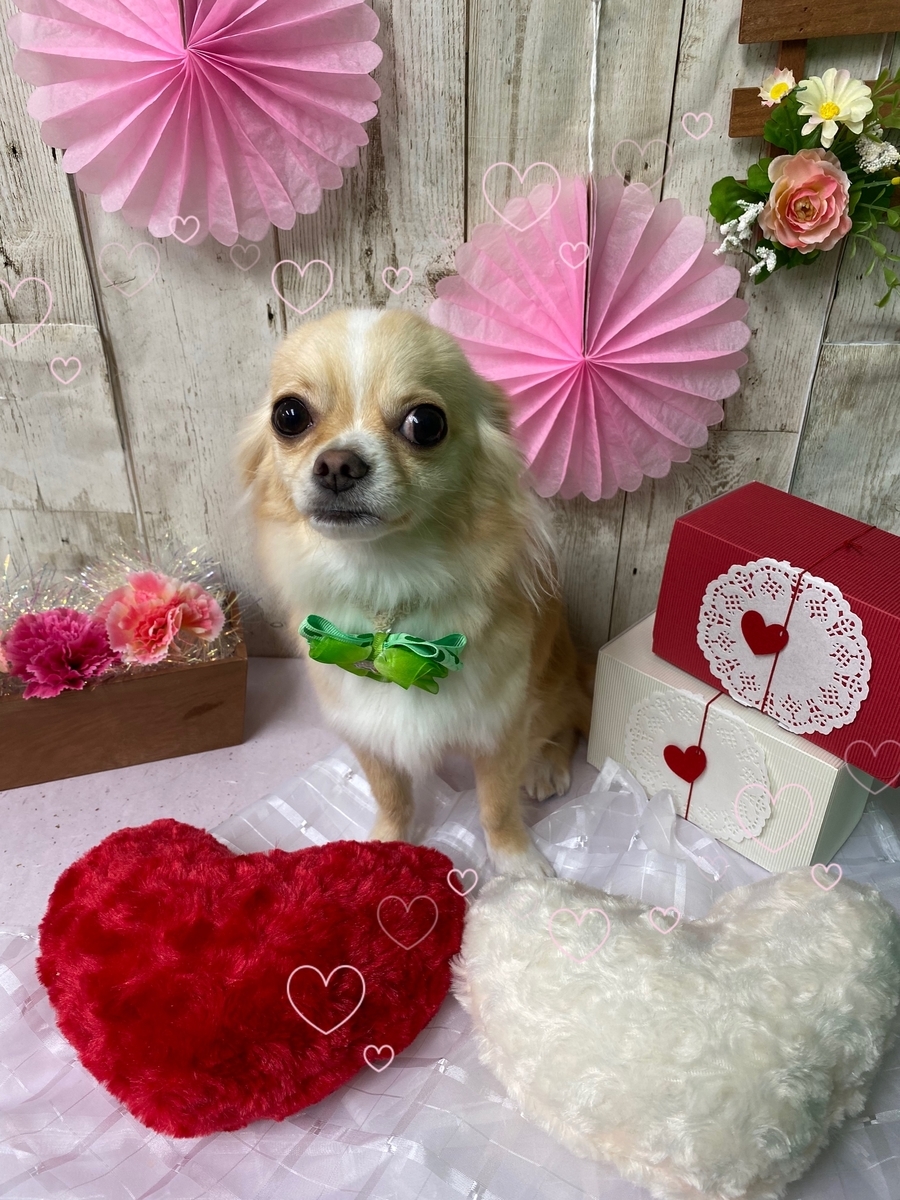 f:id:happy_ac:20200114115352j:plain