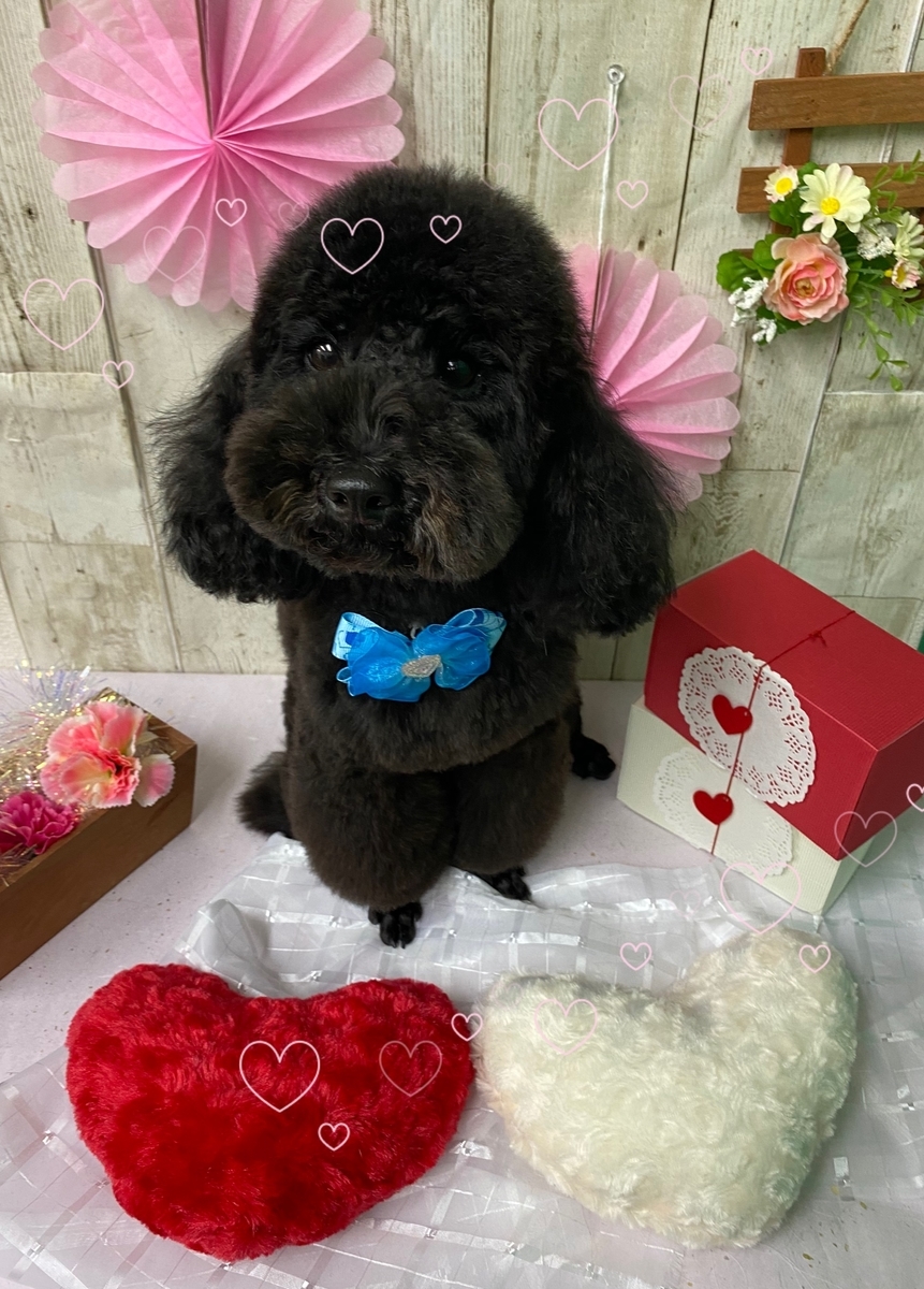 f:id:happy_ac:20200114115526j:plain