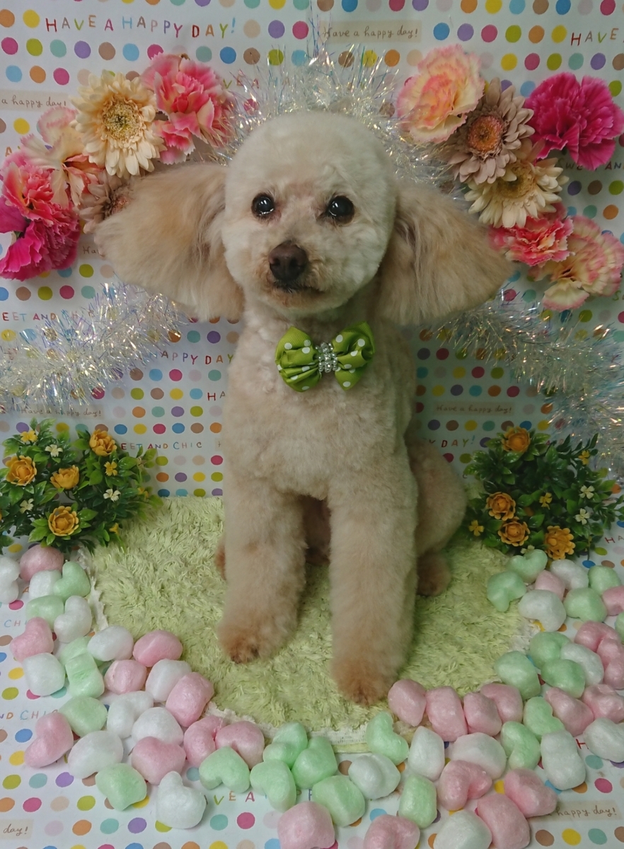 f:id:happy_ac:20200213112124j:plain f:id:happy_ac:20200213112124j:plain