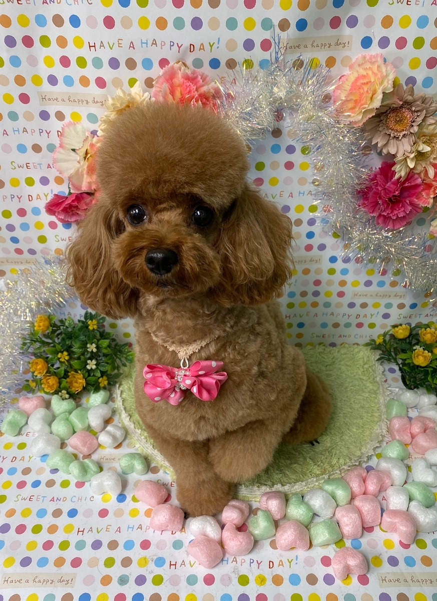 f:id:happy_ac:20200220192451j:plain
