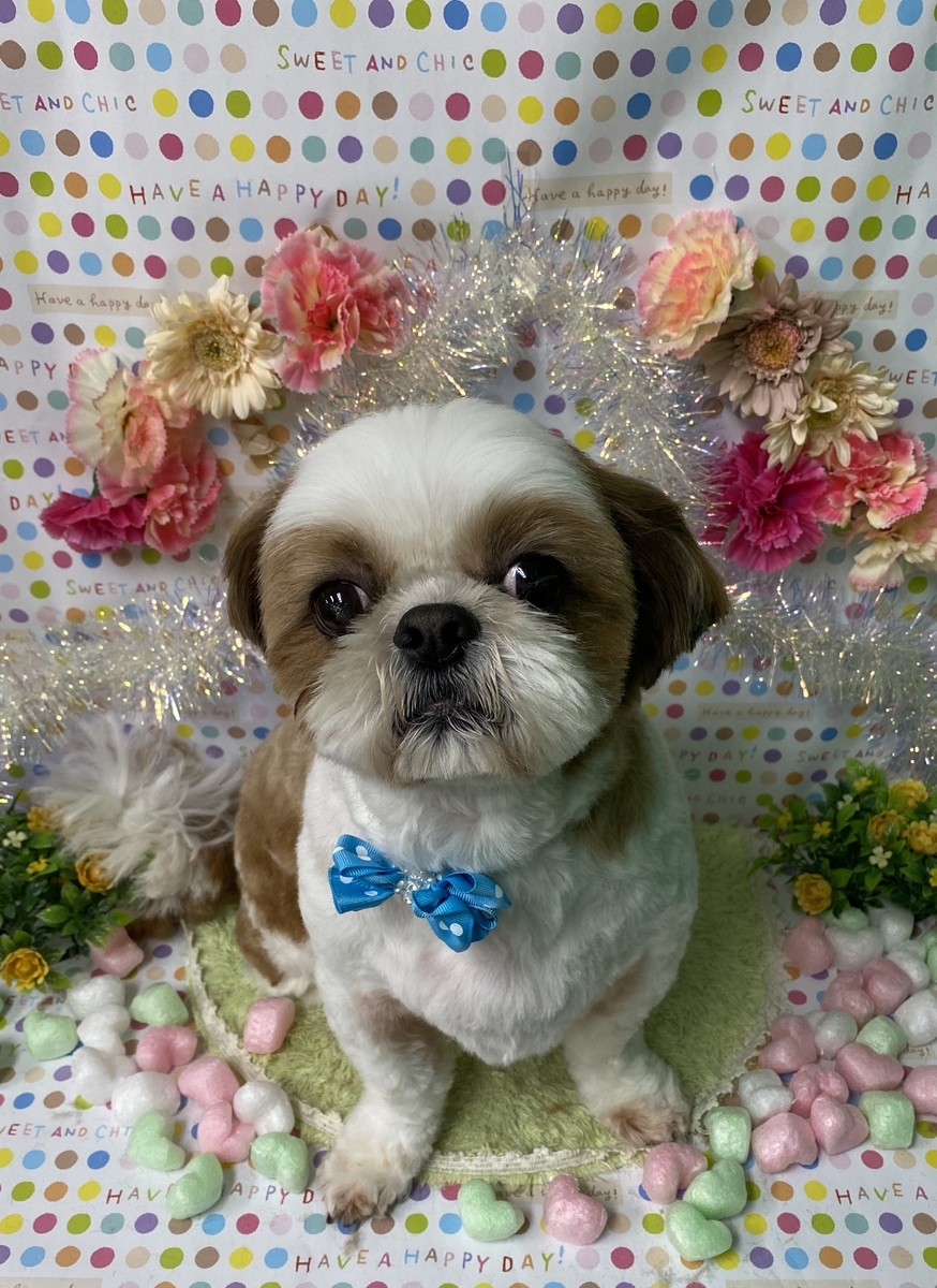 f:id:happy_ac:20200221195145j:plain