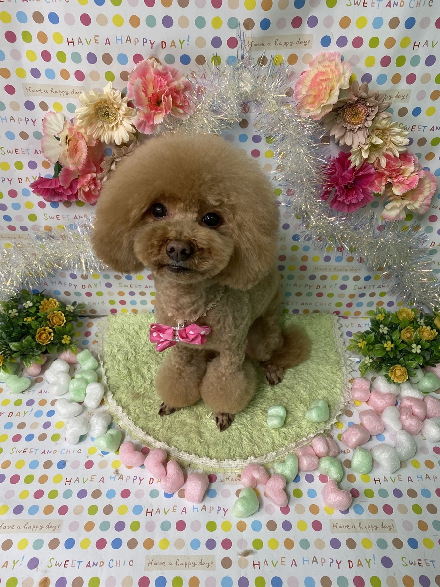 f:id:happy_ac:20200224122602j:plain