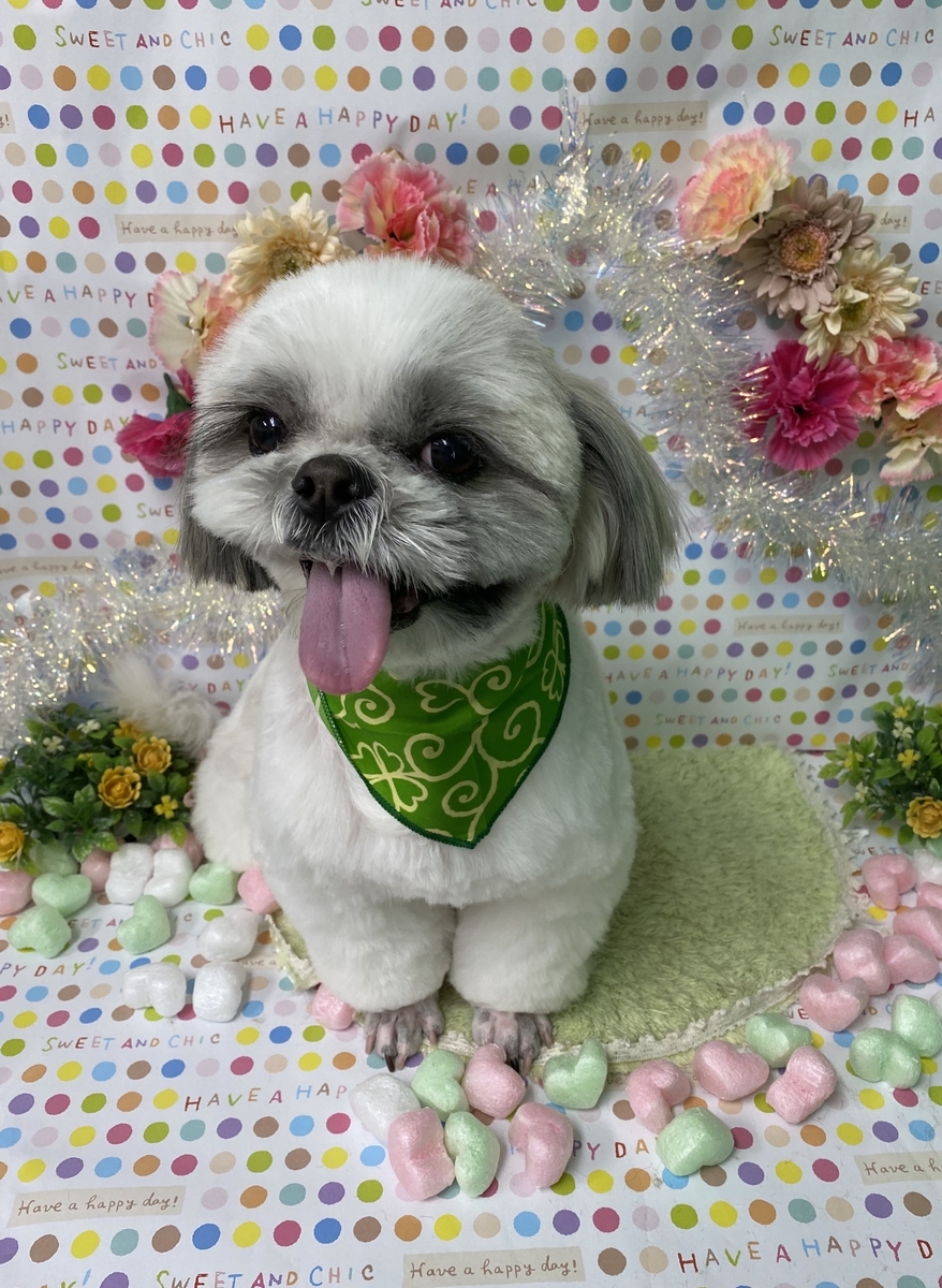f:id:happy_ac:20200224122726j:plain