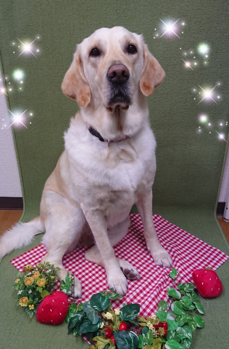 f:id:happy_ac:20200420190507j:plain