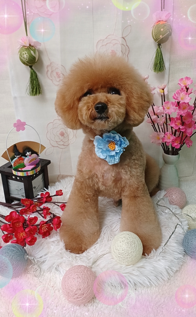 f:id:happy_ac:20220304101258j:plain