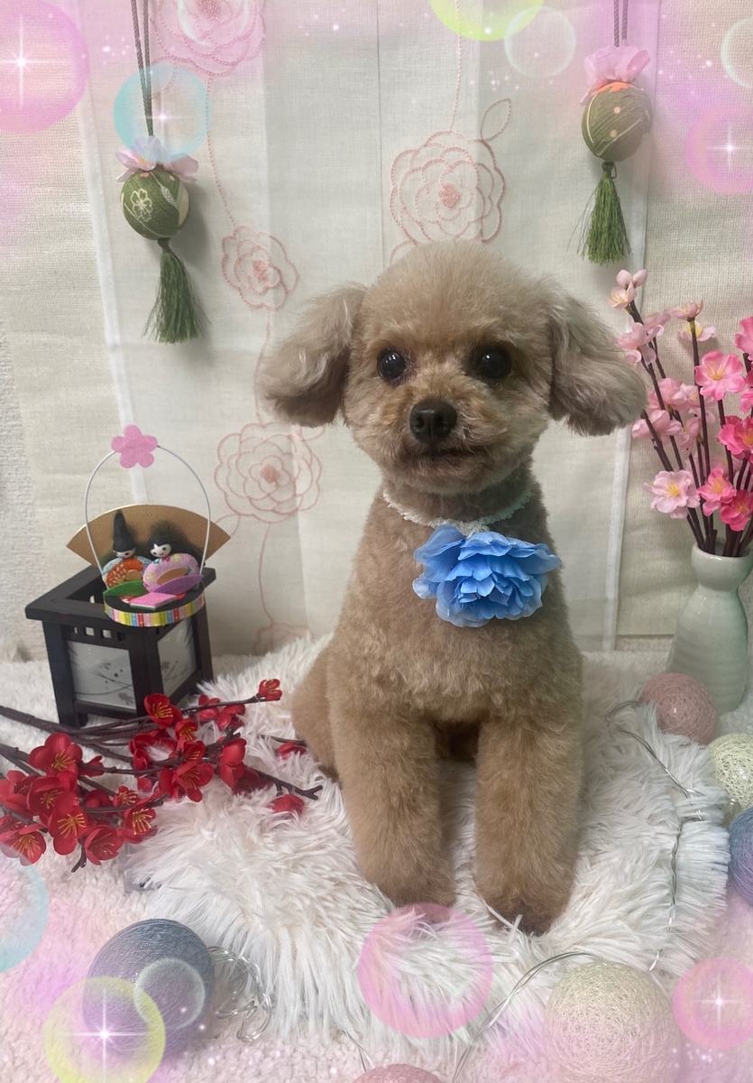 f:id:happy_ac:20220305145709j:plain