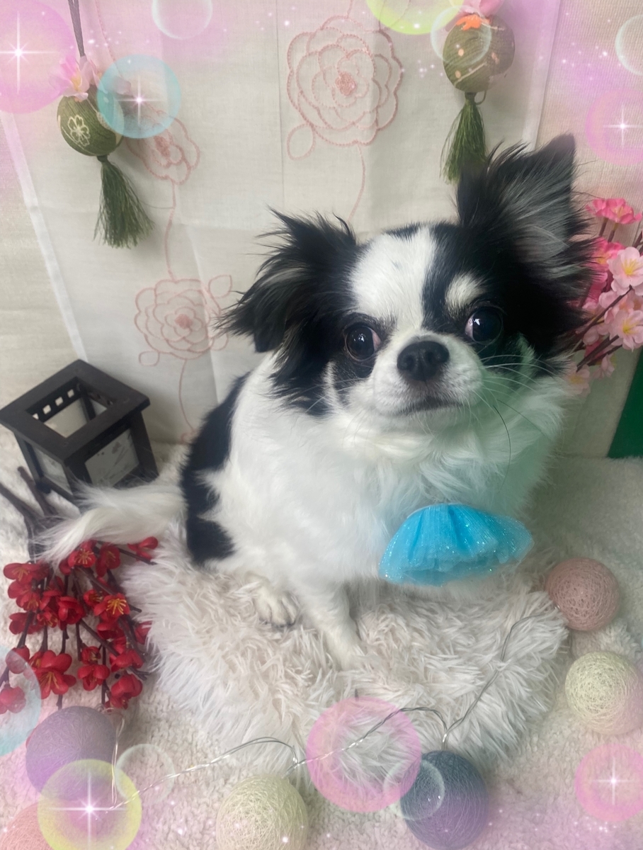 f:id:happy_ac:20220312144054j:plain