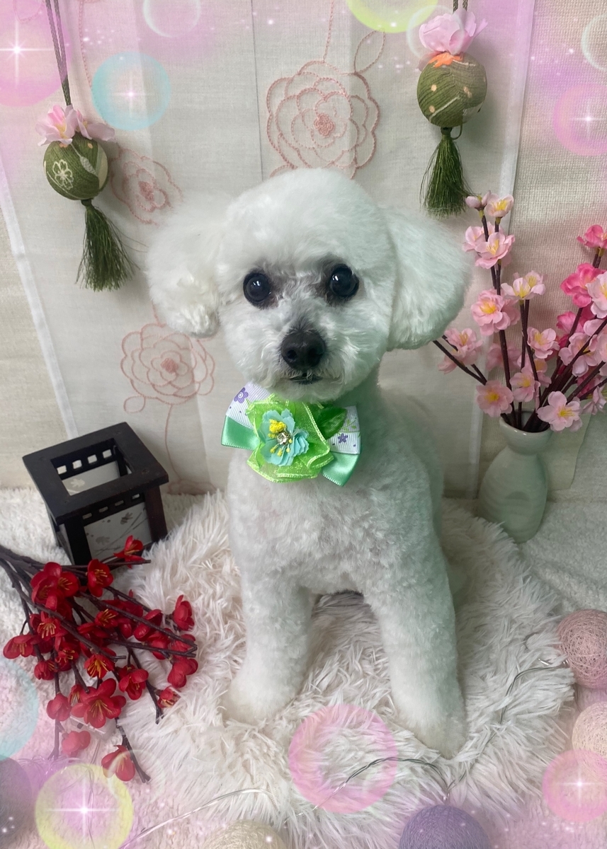 f:id:happy_ac:20220312144227j:plain