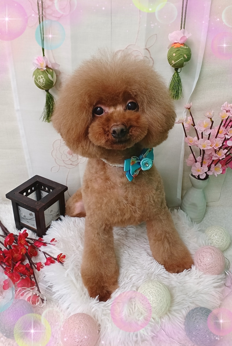 f:id:happy_ac:20220314200200j:plain