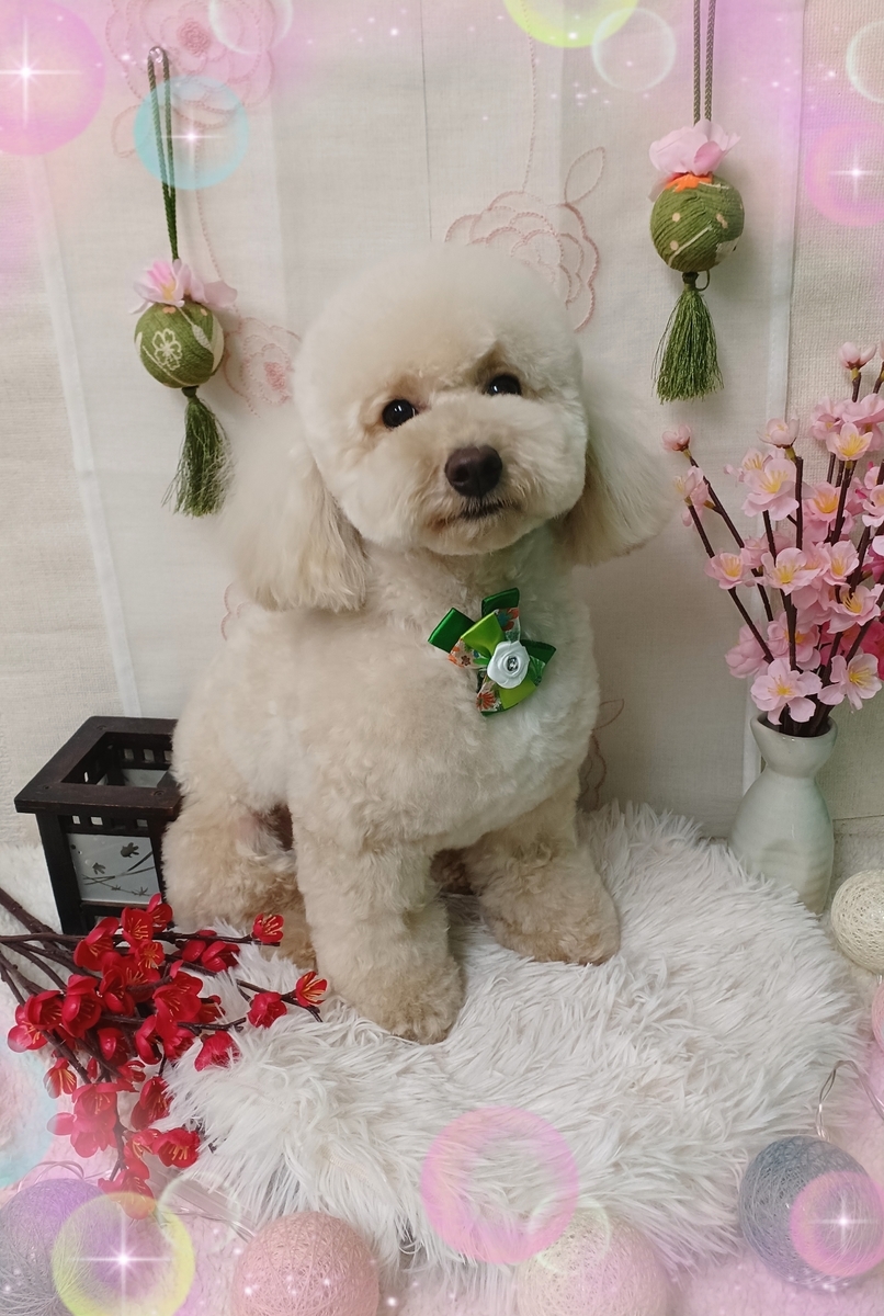f:id:happy_ac:20220314200231j:plain