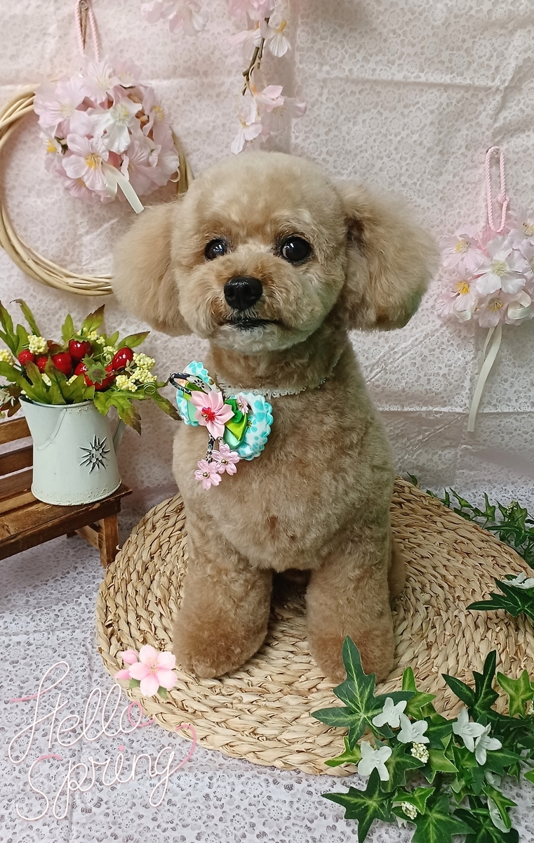 f:id:happy_ac:20220314200235j:plain