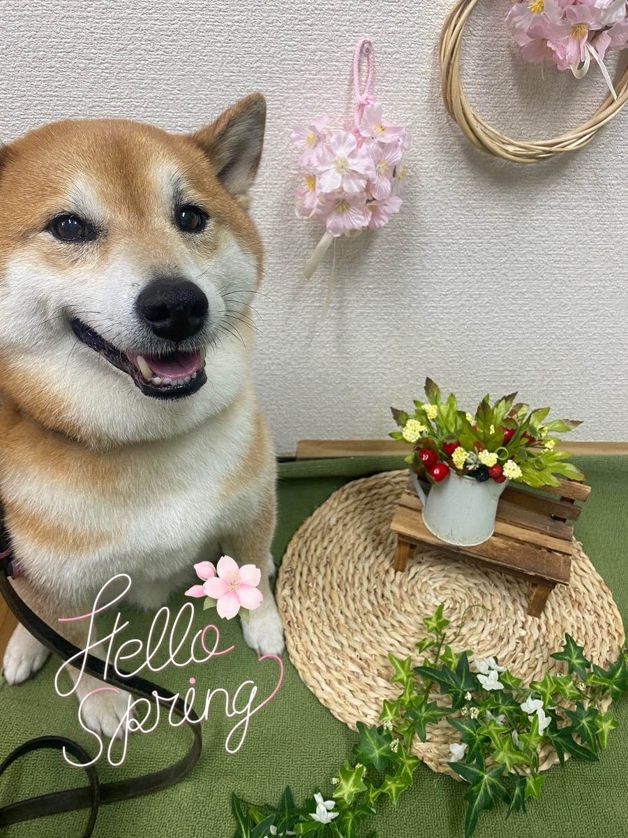 f:id:happy_ac:20220321141205j:plain