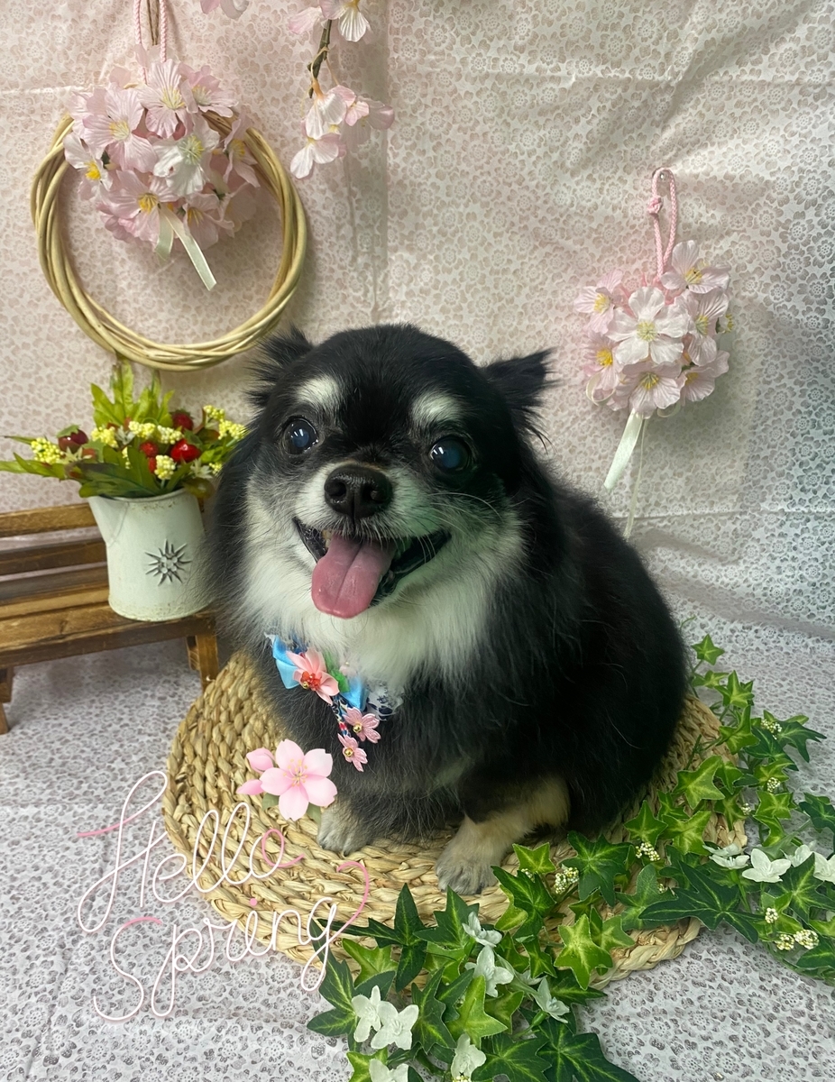 f:id:happy_ac:20220321141313j:plain