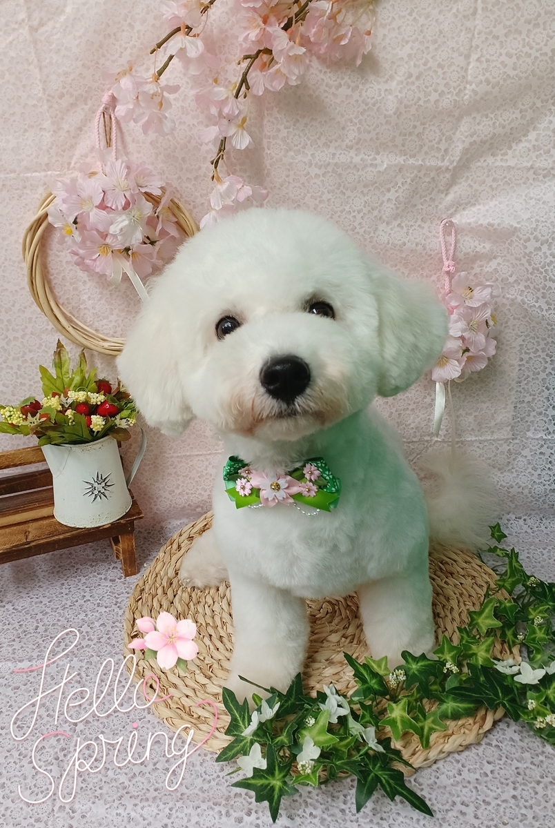 f:id:happy_ac:20220322114225j:plain