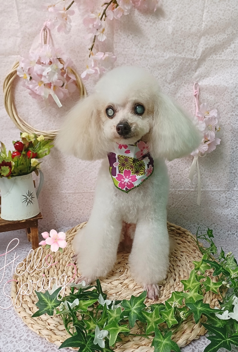f:id:happy_ac:20220325092110j:plain