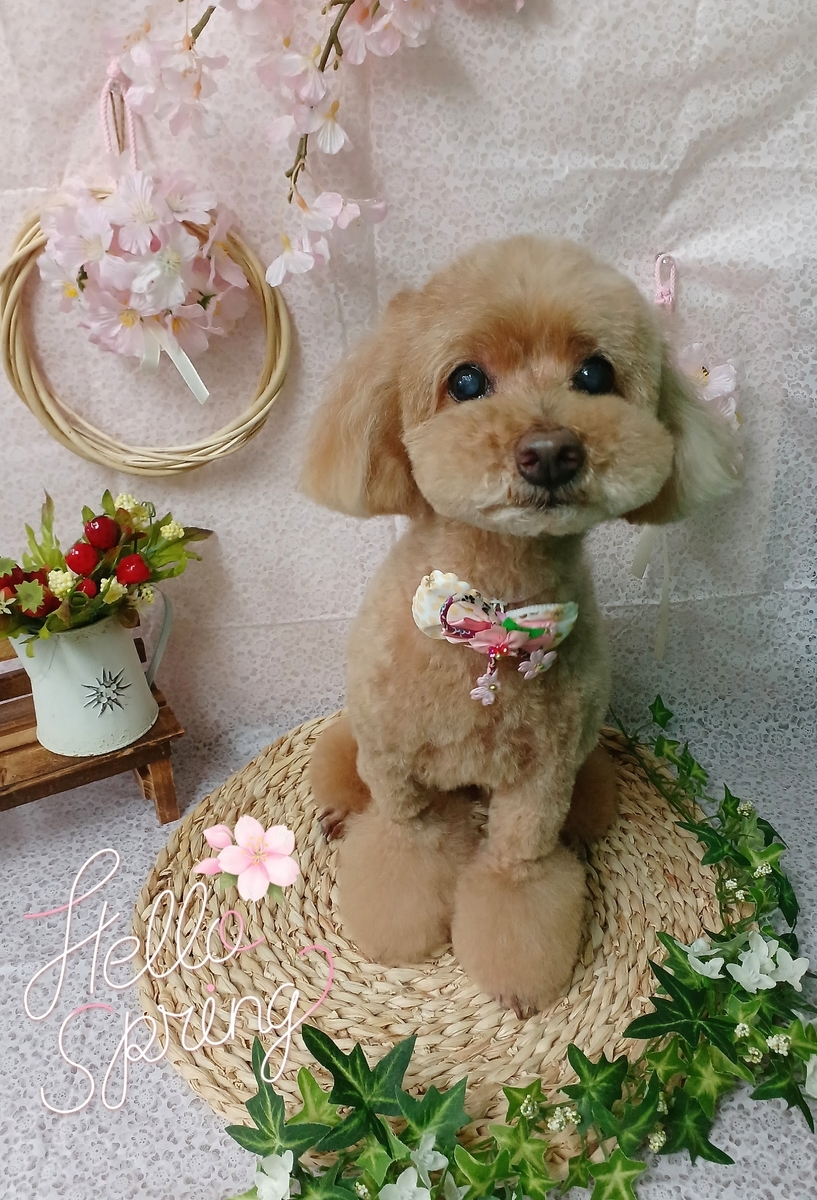 f:id:happy_ac:20220325092201j:plain