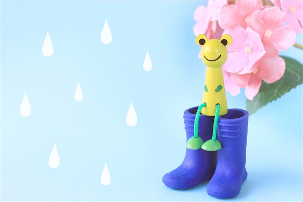 f:id:happy_life_401:20190701171145j:image