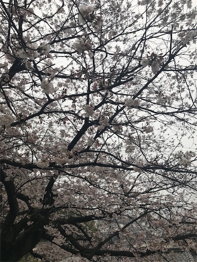 f:id:happy_life_401:20210328202048j:plain