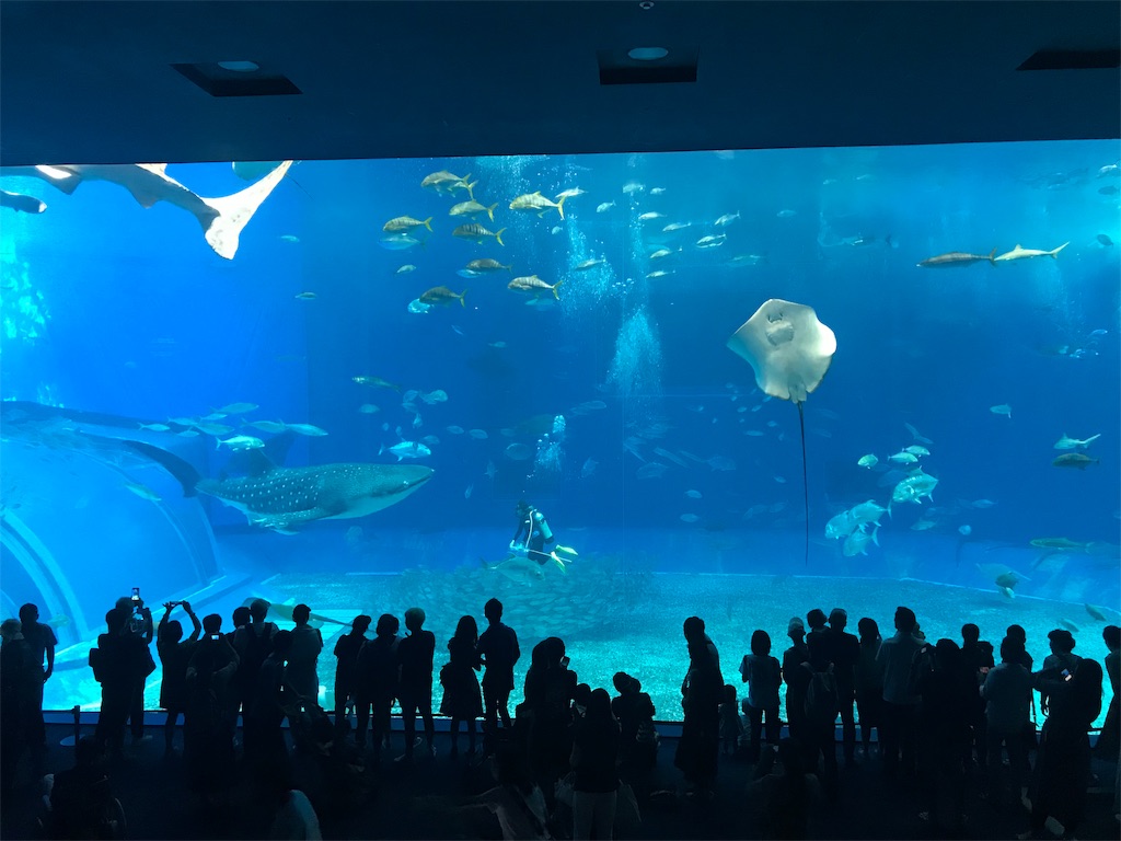 f:id:happy_life_ta:20191104170034j:image