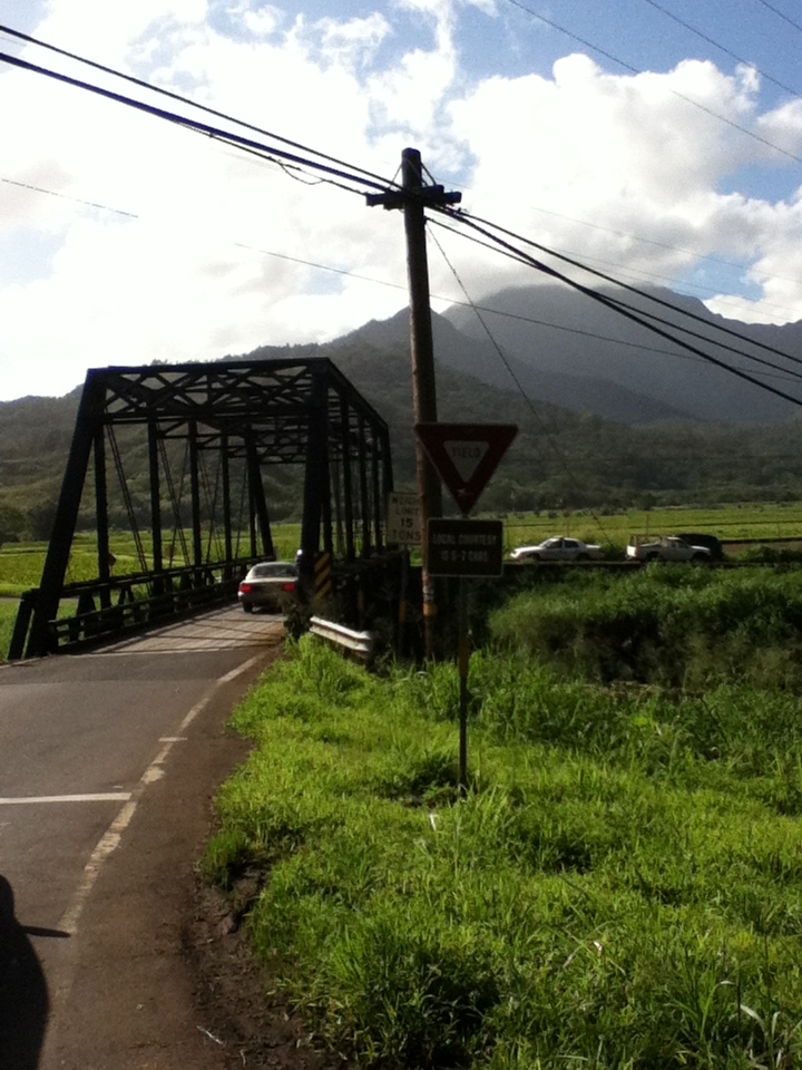 f:id:happyaloha:20170122170042j:plain f:id:happyaloha:20170122170042j:plain