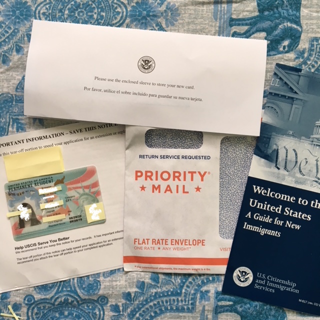 レヨコンプ　グリーンカード　2枚セット レヨコンプ用 グリーンカード 2枚