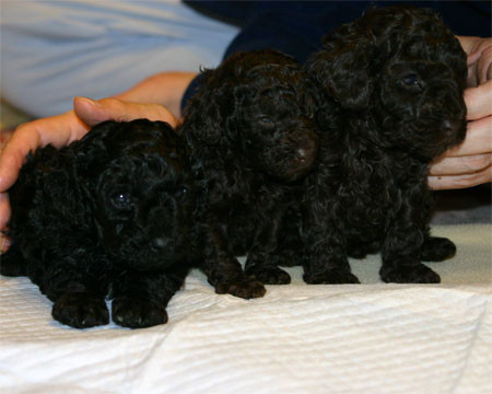 f:id:happybirth:20061215003505j:image f:id:happybirth:20061215003505j:image