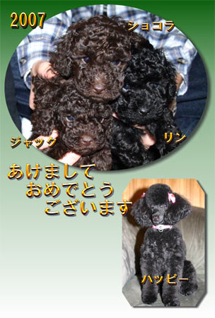f:id:happybirth:20070124002255j:image f:id:happybirth:20070124002255j:image