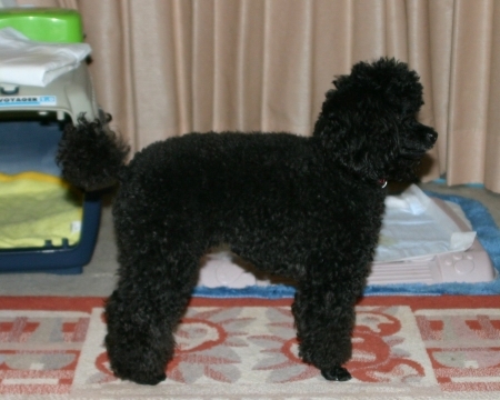 f:id:happybirth:20080128230938j:image f:id:happybirth:20080128230938j:image