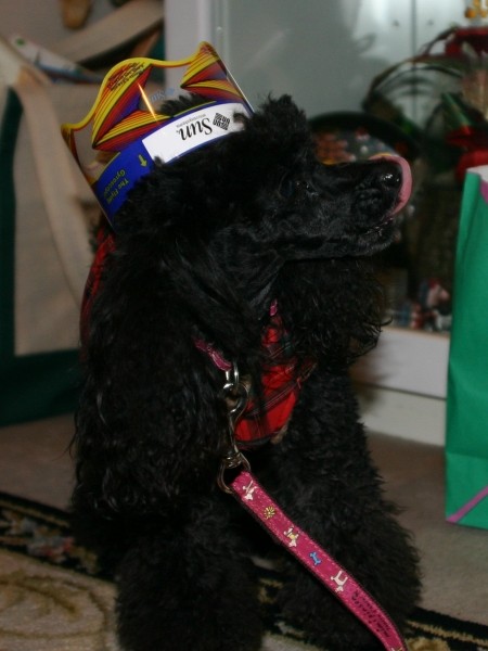 f:id:happybirth:20090103175624j:image f:id:happybirth:20090103175624j:image