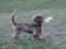 DSC03281-1.JPG