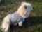 DSC03341-1.JPG