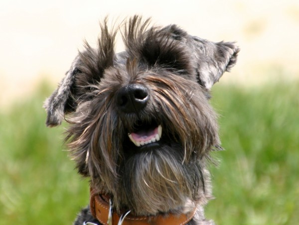 f:id:happybirth:20090502110942j:image f:id:happybirth:20090502110942j:image
