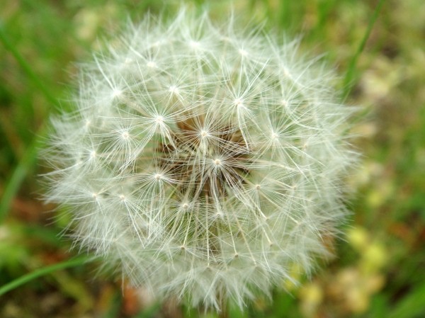 f:id:happybirth:20090504162249j:image f:id:happybirth:20090504162249j:image