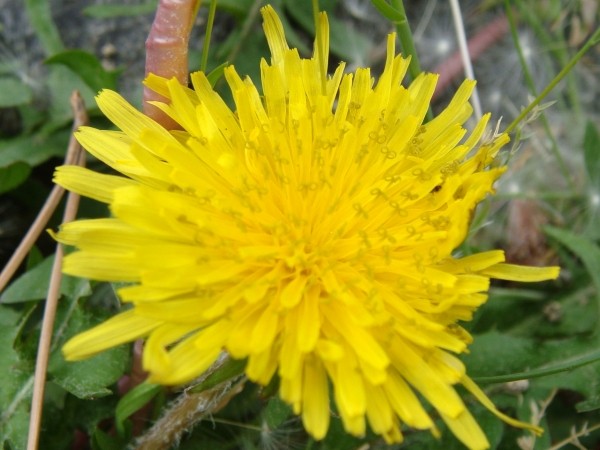 f:id:happybirth:20090504162334j:image f:id:happybirth:20090504162334j:image