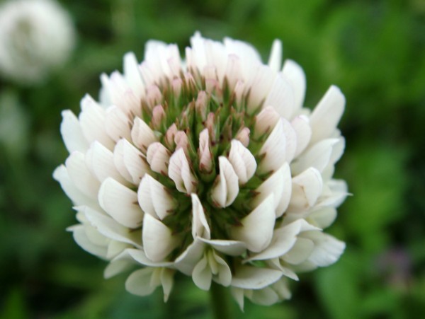 f:id:happybirth:20090504171045j:image f:id:happybirth:20090504171045j:image