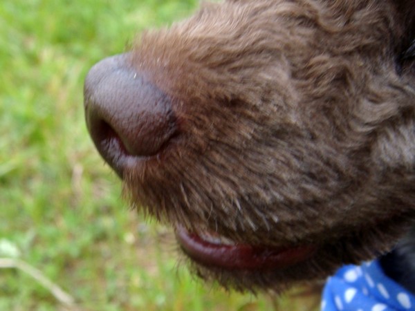 f:id:happybirth:20090504171114j:image f:id:happybirth:20090504171114j:image