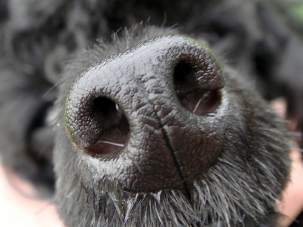 f:id:happybirth:20090504171209j:image f:id:happybirth:20090504171209j:image