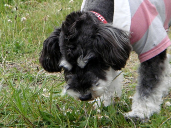 f:id:happybirth:20090504172650j:image f:id:happybirth:20090504172650j:image