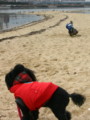 IMG_2876-1.jpg