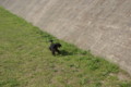 DSC07659.jpg