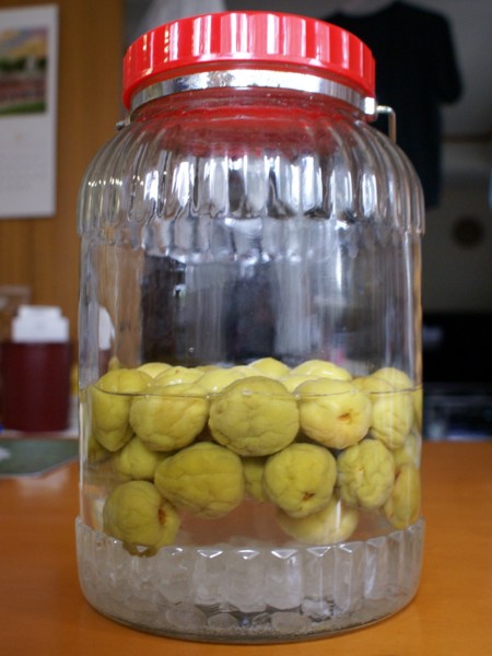 f:id:happybirth:20110612082929j:image f:id:happybirth:20110612082929j:image