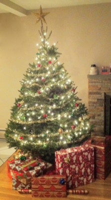 f:id:happyblues:20111223162944j:image